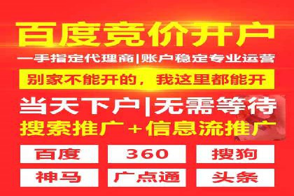 SEM推广竞价托管成功案例解析